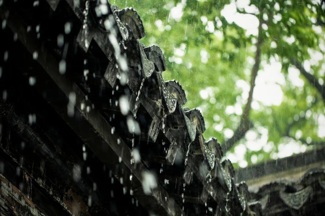 雨后的故事动态qq动态图片_雨后图片说说_动态下雨背景图片