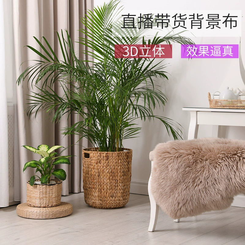抖音忘记密码了手机号也换了怎么办_抖音忘记办密码换手机怎么登录_抖音忘记办密码换手机怎么办