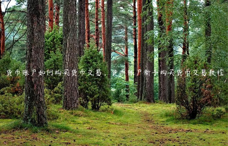 失败交易次数什么意思_imtoken 交易失败 -1_失败交易是什么意思