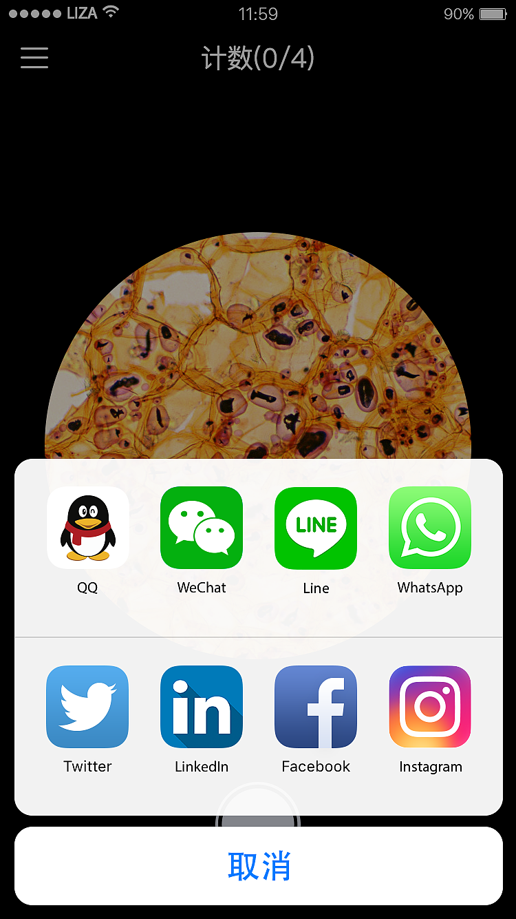 whatsapp官方下载_官方下载快手极速版_官方下载中国象棋