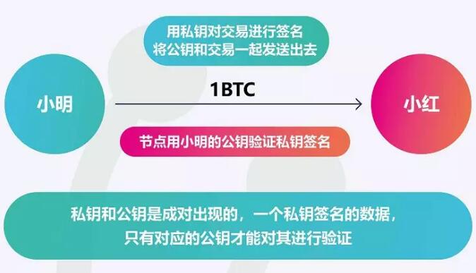 钱包私钥怎么保存_钱包导入私钥风险_im钱包如何导出私钥