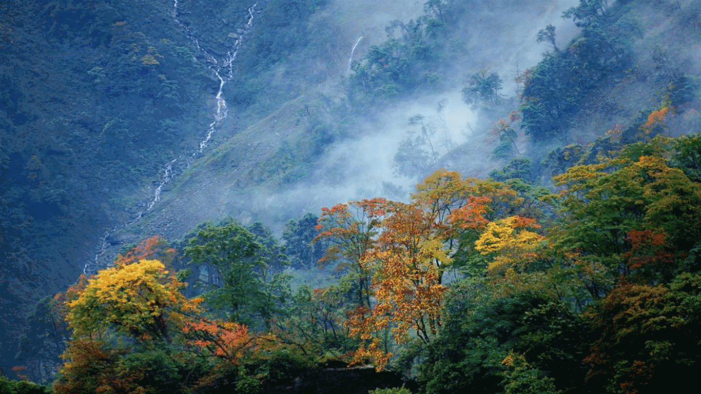 雨后小故事动态图_雨后故事gif动态图_雨后的小故事gif