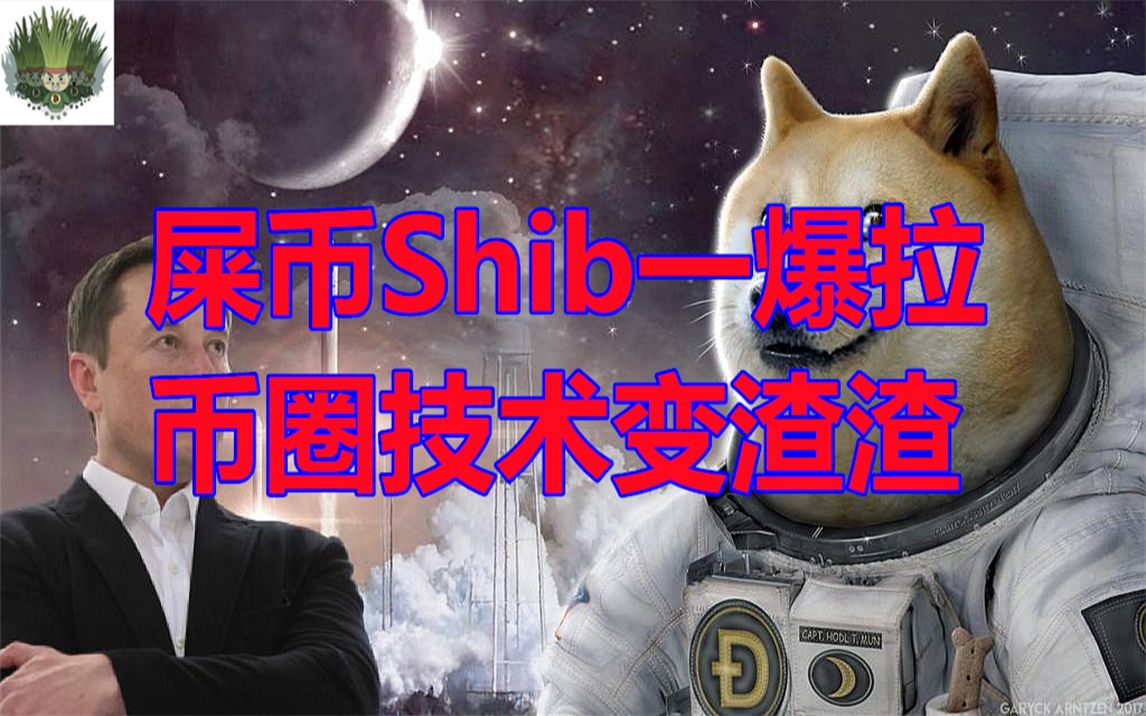 狗狗币放tp钱包_狗狗币提tp钱包选哪个链_tp钱包支持狗狗币