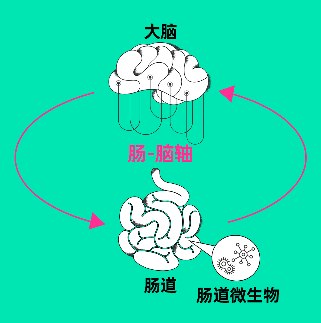 图片透明度_ppt怎么设置图片透明度_图片透明度在哪里设置