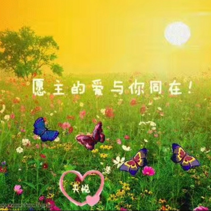 全民k歌唱吧好友在哪里_唱吧和全民k歌哪个好_全民k歌唱吧好听吗