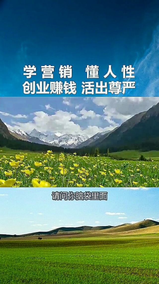 意思是什么_意思是说_bpt是什么意思