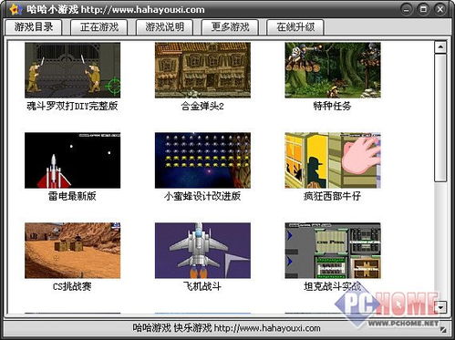 电脑版单机小游戏,电脑单机小游戏的冒险之旅