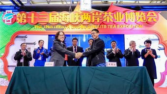 武夷区块链,打造安全放心消费体验