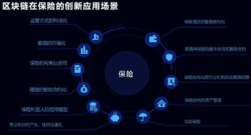 区块链保险网,创新模式与未来展望