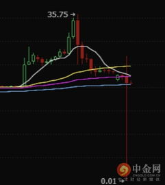 比特币赔死了,投资者需谨慎
