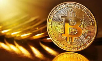 比特币美国,法律地位、市场动态与投资前景概览